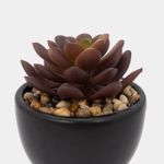 planta-artificial-con-cuerpo-negro-suculenta-17-x-5-cm-3-7701016259279