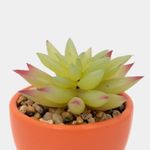 planta-artificial-con-cuerpo-anaranjado-suculenta-17-x-5-1-cm-3-7701016259330