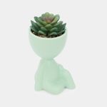 planta-artificial-con-cuerpo-verde-menta-sucuelenta-16-x-6-5-cm-2-7701016259347