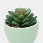 planta-artificial-con-cuerpo-verde-menta-sucuelenta-16-x-6-5-cm-3-7701016259347