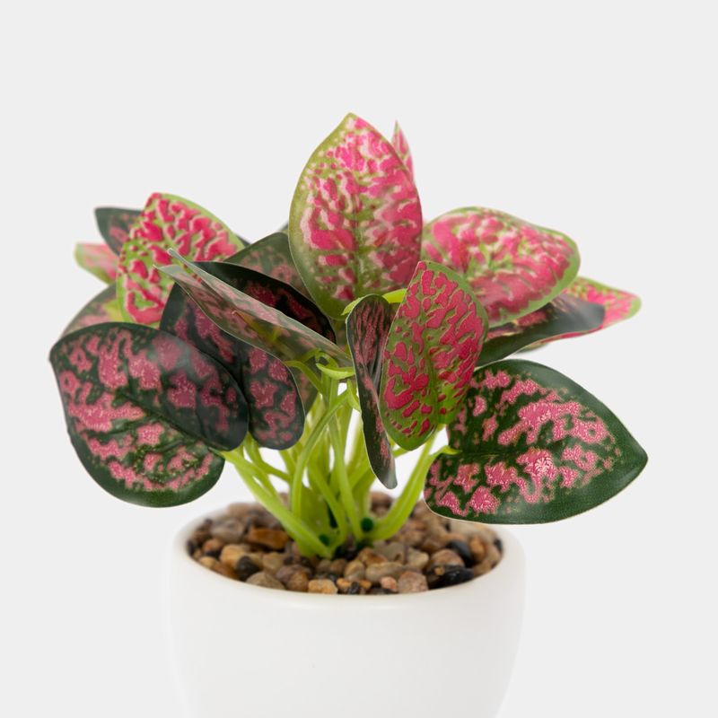 planta-artificial-con-cuerpo-blanco-suculenta-22-x-6-5-cm-3-7701016259354