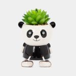 planta-artificial-de-oso-panda-blanco-con-negro-suculenta-13-x-7-5-cm-7701016259392