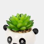 planta-artificial-de-oso-panda-blanco-con-negro-suculenta-13-x-7-5-cm-3-7701016259392