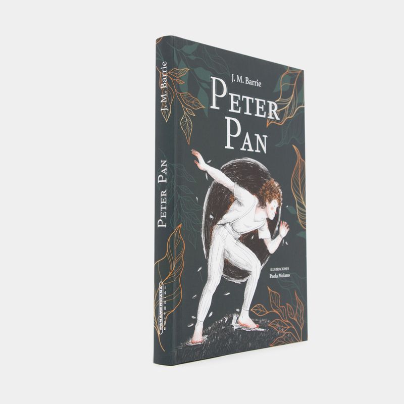 peter-pan-2-9789583065910