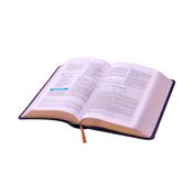 Santa biblia Espíritu Santo