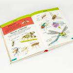 diccionario-ilustrado-para-ninos-2-9786075326375