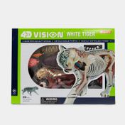 Modelo anatómico 4D de tigre blanco x 28 piezas