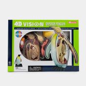 Modelo anatómico 4D de pingüino x 34 piezas