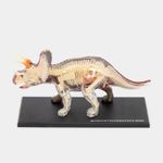 modelo-anatomico-4d-del-triceratops-x-46-piezas-2-4894793220143