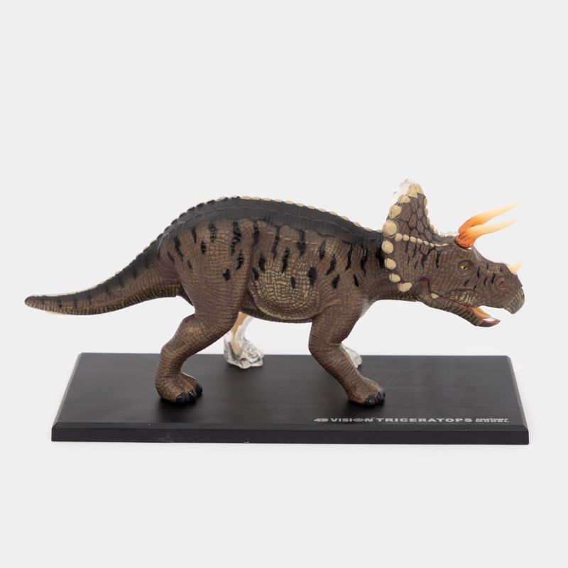 modelo-anatomico-4d-del-triceratops-x-46-piezas-3-4894793220143