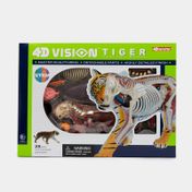 Modelo anatómico 4D tigre x 28 piezas