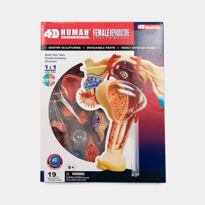modelo-anatomico-4d-sistema-reproductor-femenino-19-piezas-4894793261016