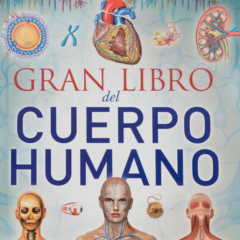gran-libro-del-cuerpo-humano-8-9788490050606