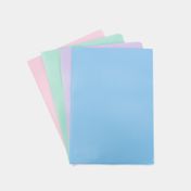 Carpeta plástica A4 project file x 10 unidades, colores pastel