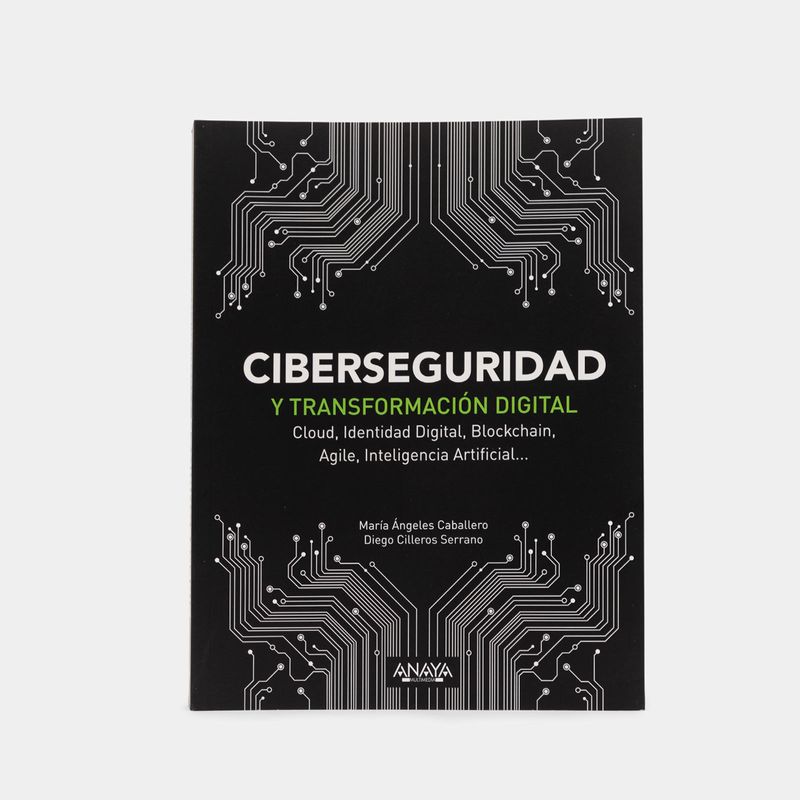 ciberseguridad-y-transformacion-digital-9788441541627