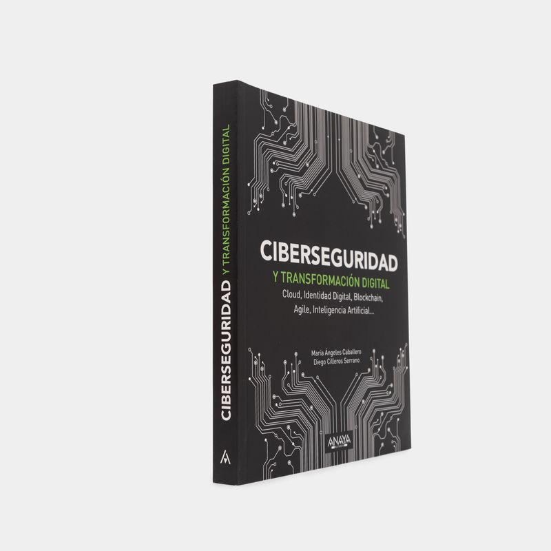 ciberseguridad-y-transformacion-digital-2-9788441541627