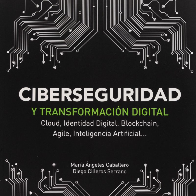 ciberseguridad-y-transformacion-digital-4-9788441541627