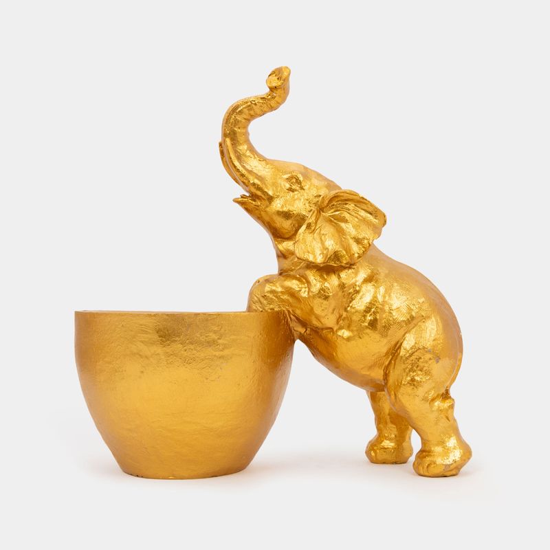 maceta-de-elefante-24-5-x-23-x-14-cm-7701016398305