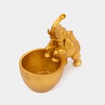 maceta-de-elefante-24-5-x-23-x-14-cm-2-7701016398305