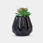planta-artificial-con-maceta-11-cm-negra-7701016398633