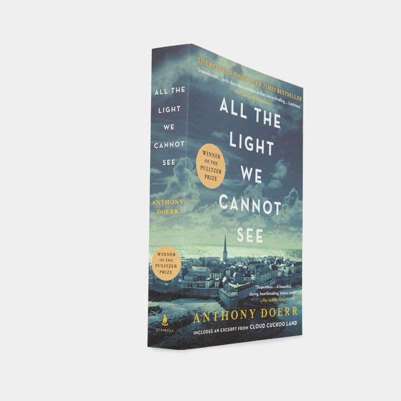 all-the-light-we-cannot-see-2-9781501173219