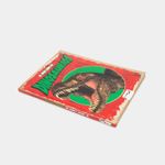 el-gran-libro-de-dinosaurios-3-9788415273561
