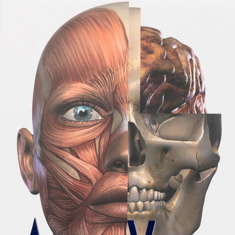 atlas-visual-del-cuerpo-4-9788417076450