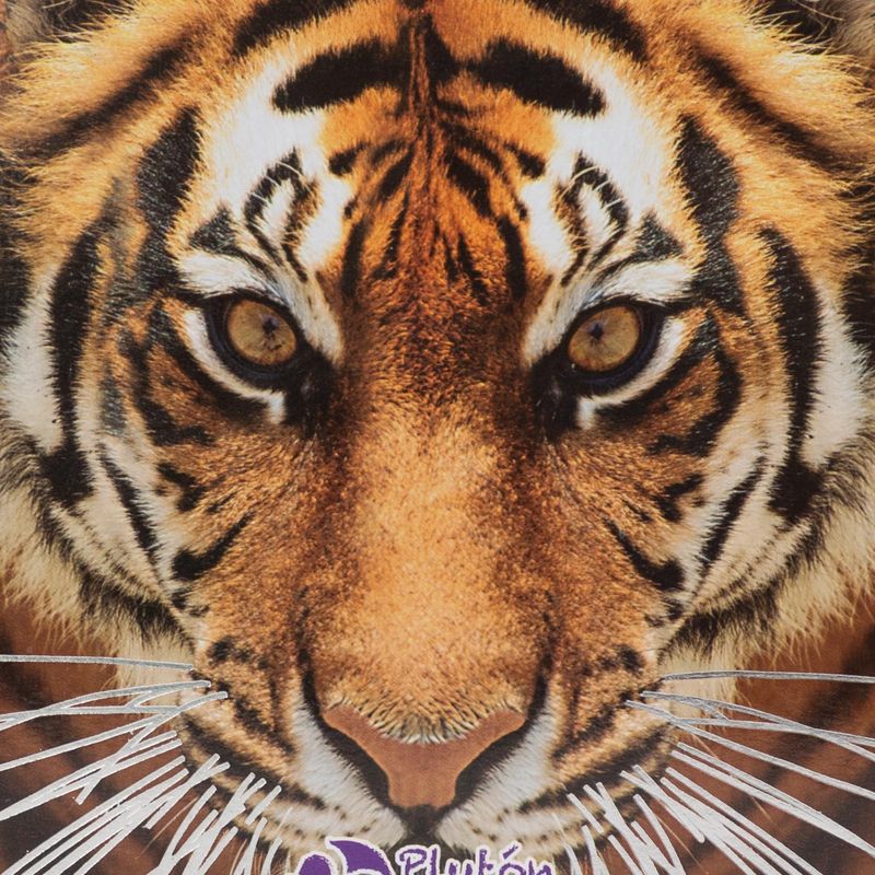 500-curiosidades-animales-4-9788419087102