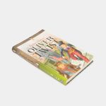 oliver-twist-3-9788490050873