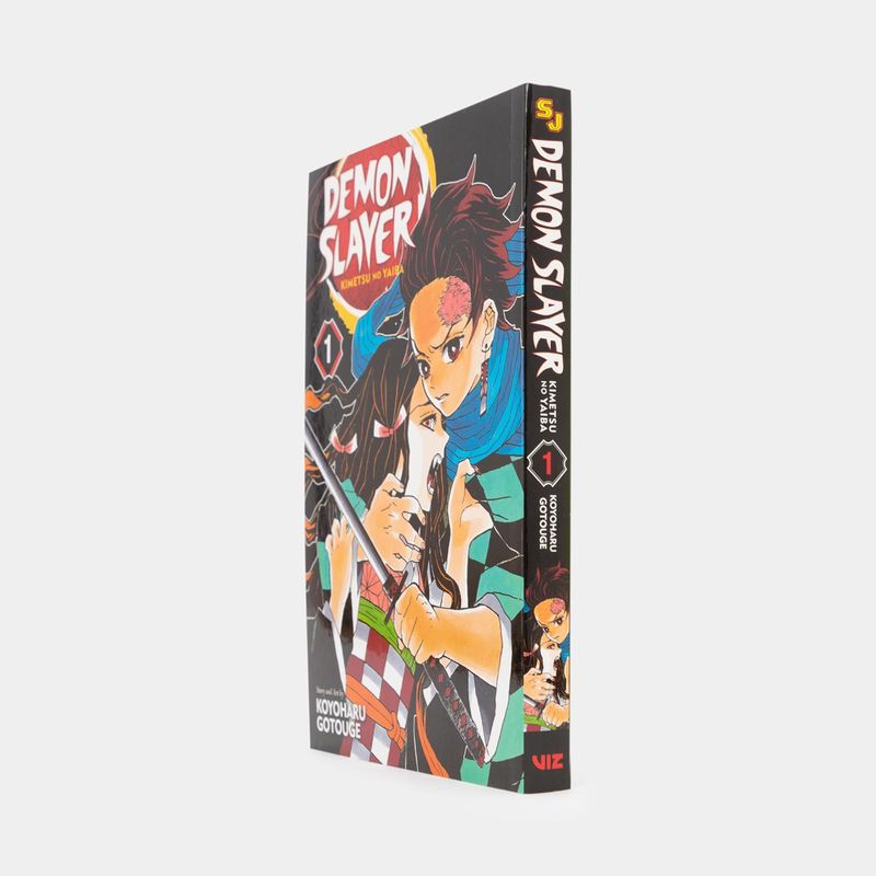demon-slayer-kimetsu-no-yaiba-vol-1-2-9781974700523