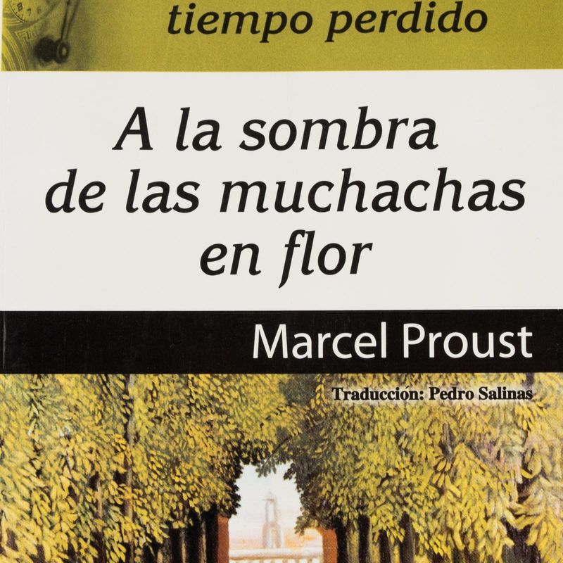 a-la-sombra-de-las-muchachas-en-flor-4-9789507642661