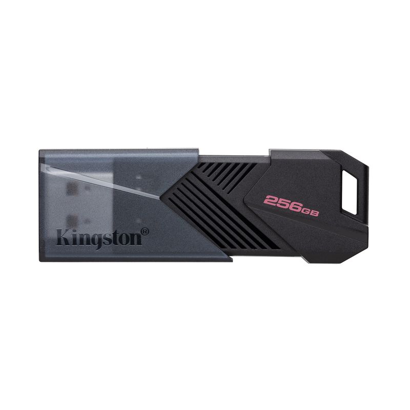 memoria-usb-de-256-gb-kingston-3-2-dtxon-740617332674
