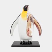Modelo atómico 4D pingüino, 34 piezas