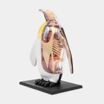 modelo-atomico-4d-pinguino-34-piezas-2-4894793220440
