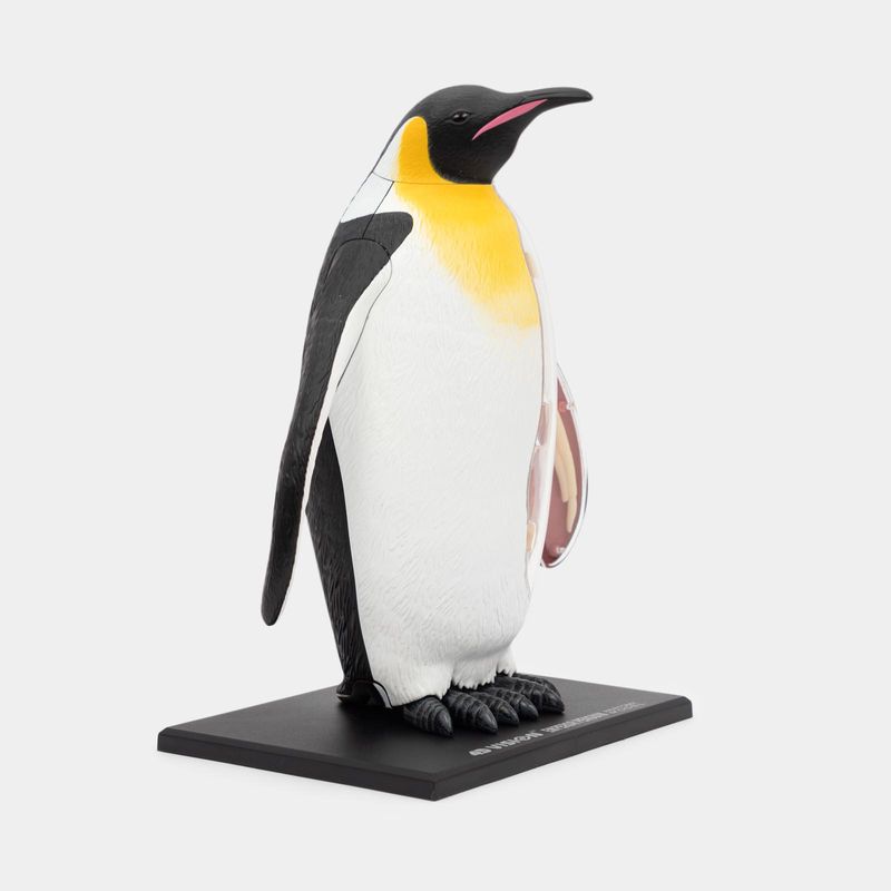 modelo-atomico-4d-pinguino-34-piezas-3-4894793220440