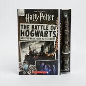 The battle of Hogwarts and the magic used to defend it