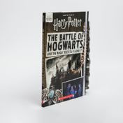 The battle of Hogwarts and the magic used to defend it