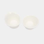 set-para-servir-en-porcelana-x-2-unidades-2-7701016467223