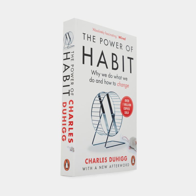 the-power-of-habit-why-we-do-what-we-do-and-how-to-change-2-9781847946249
