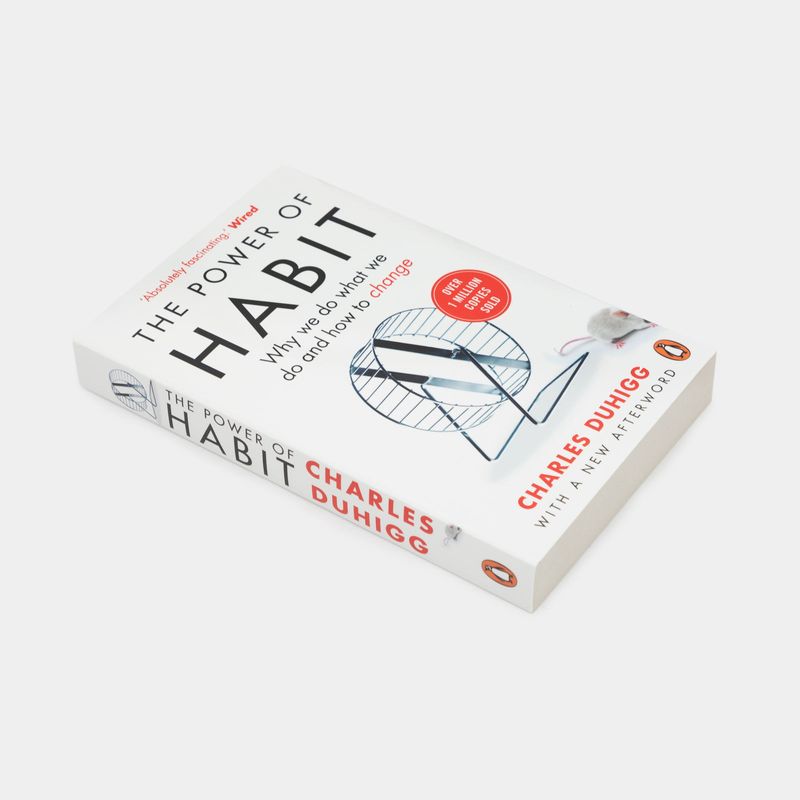 the-power-of-habit-why-we-do-what-we-do-and-how-to-change-3-9781847946249