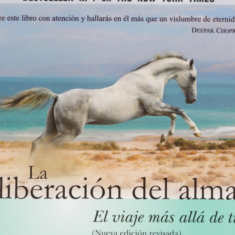 la-liberacion-del-alma-4-9788484455110