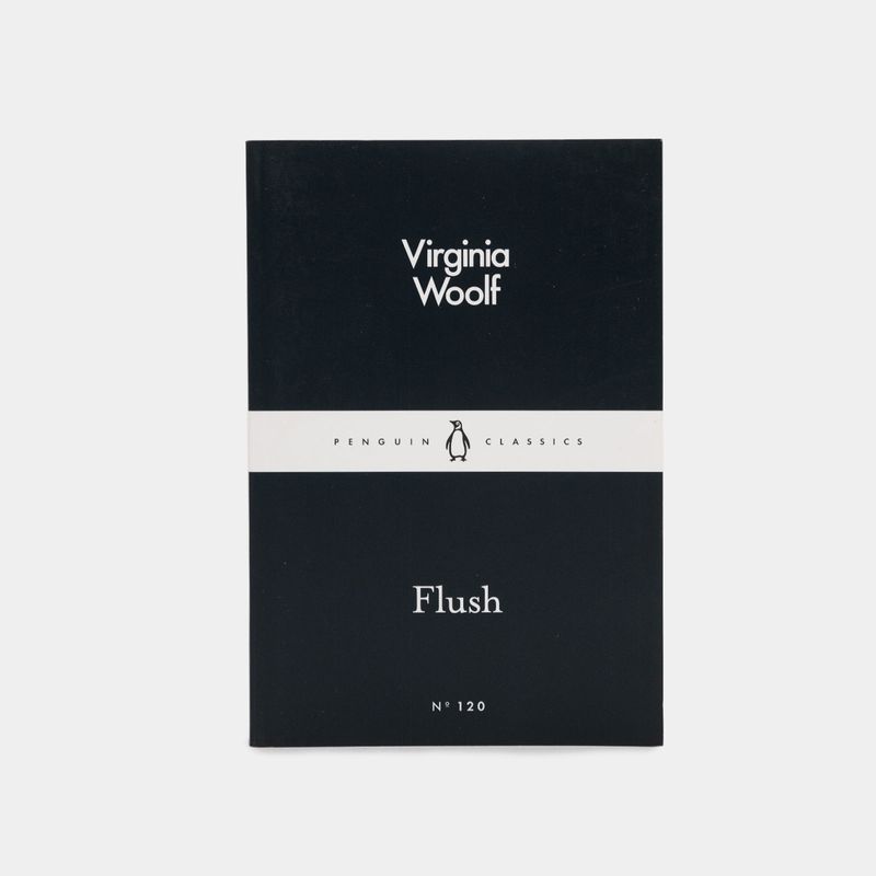 flush-9780241251478