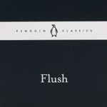flush-4-9780241251478