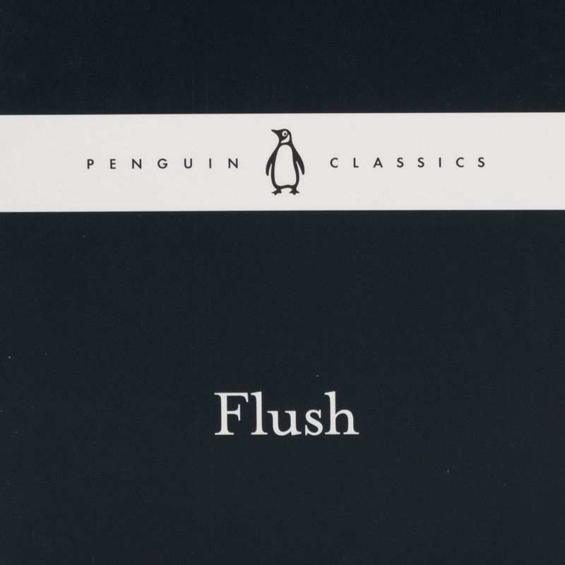 flush-4-9780241251478