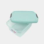 caja-organizadora-plastica-de-6-litros-con-tapa-verde-menta-3-7896359038039