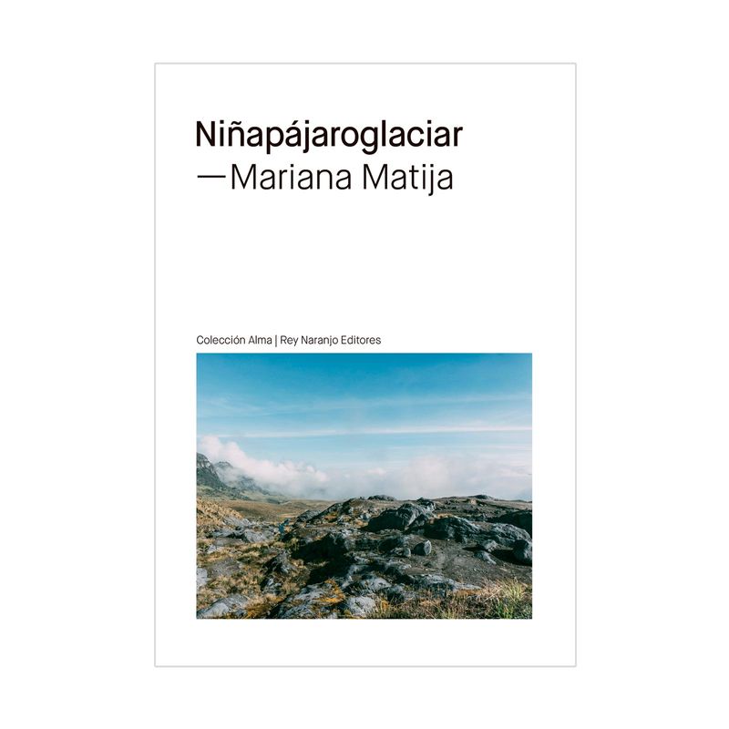 ninapajarogalciar-9786287589094