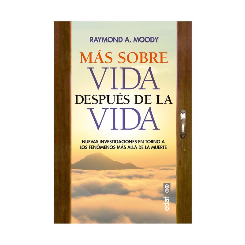 mas-sobre-vida-despues-de-la-vida-9788441441330