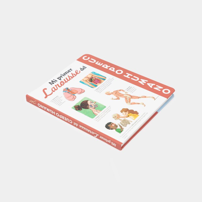 mi-primer-larousse-del-cuerpo-humano-3-9788417273583