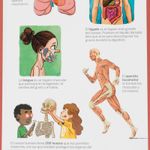 mi-primer-larousse-del-cuerpo-humano-4-9788417273583