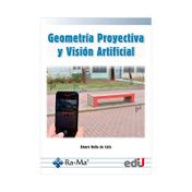 Geometría proyectiva y visión artificial